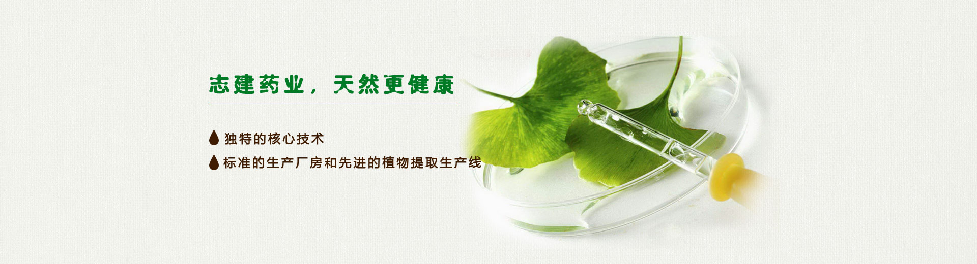 幻灯3 幻灯3